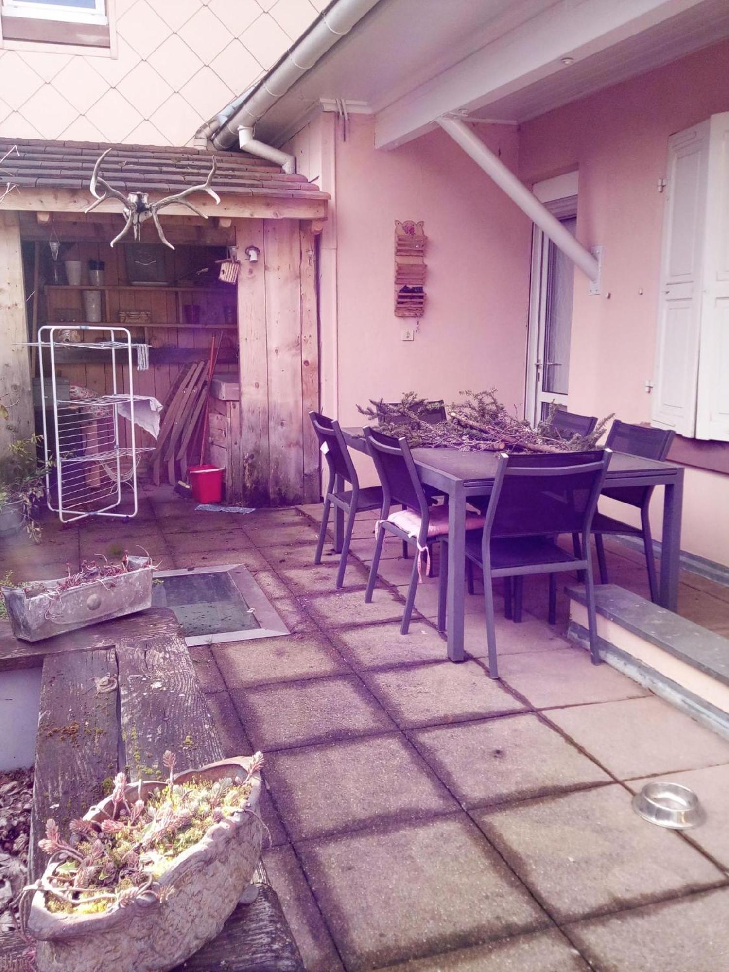 "Cote Nature", Appartement Cosy Au Coeur De Munster Munster  Exteriör bild