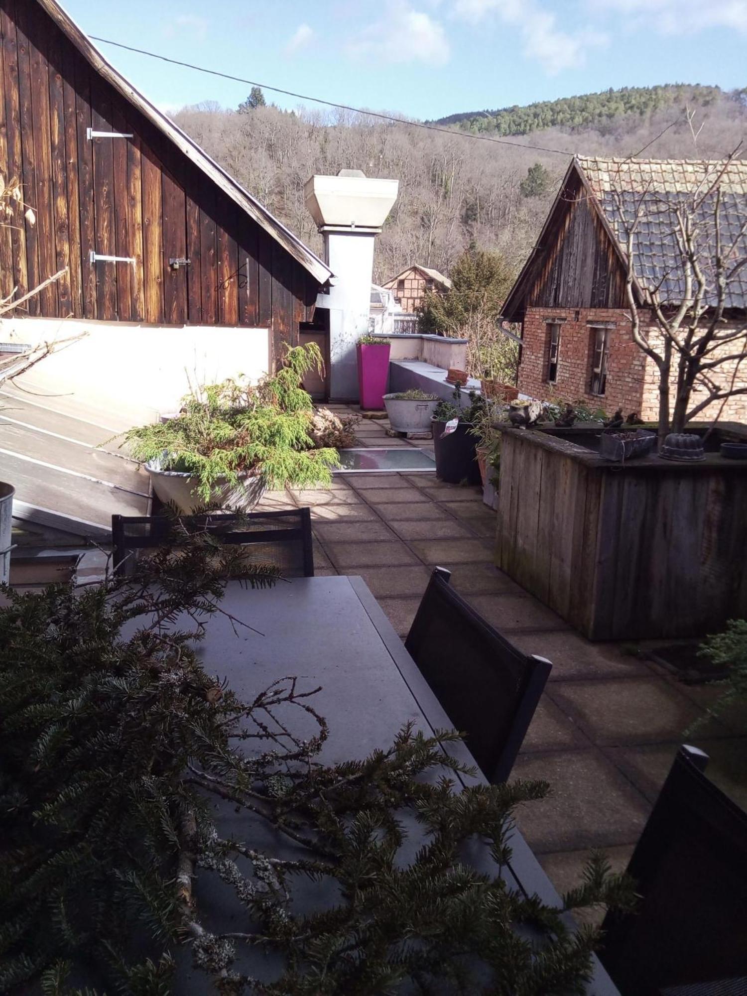 "Cote Nature", Appartement Cosy Au Coeur De Munster Munster  Exteriör bild